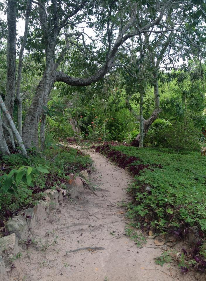 Riachinho Pousada Fazenda Vale do Capao Ngoại thất bức ảnh